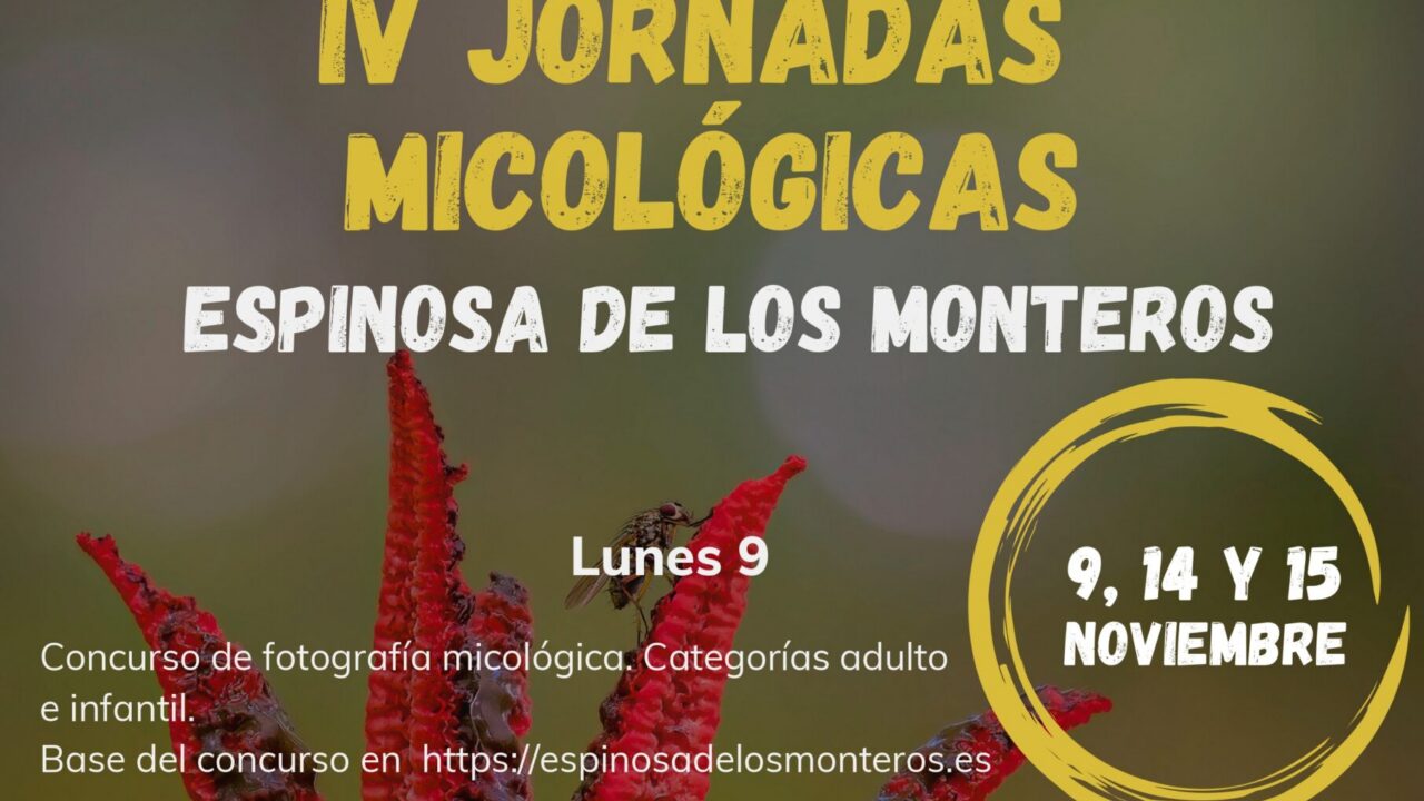 Esta localidad burgalesa a una hora de Bilbao te adentra en el mundo de la micología