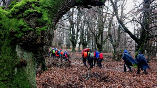 Bizkaia registra 47 denuncias por llevar perros sueltos en Gorbeia y Urkiola desde 2022