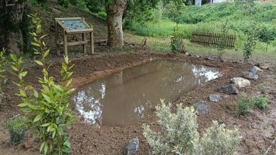 Así puedes descubrir gratis los anfibios que habitan en Getxo